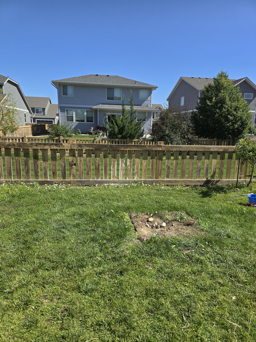 Backyard cleared after wooden playset removal in Northern Colorado