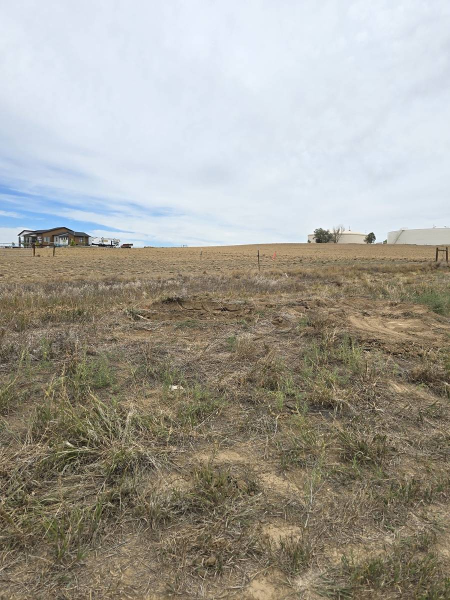 Farm field cleared of irrigation pipe and scrap debris after junk removal in Northern Colorado