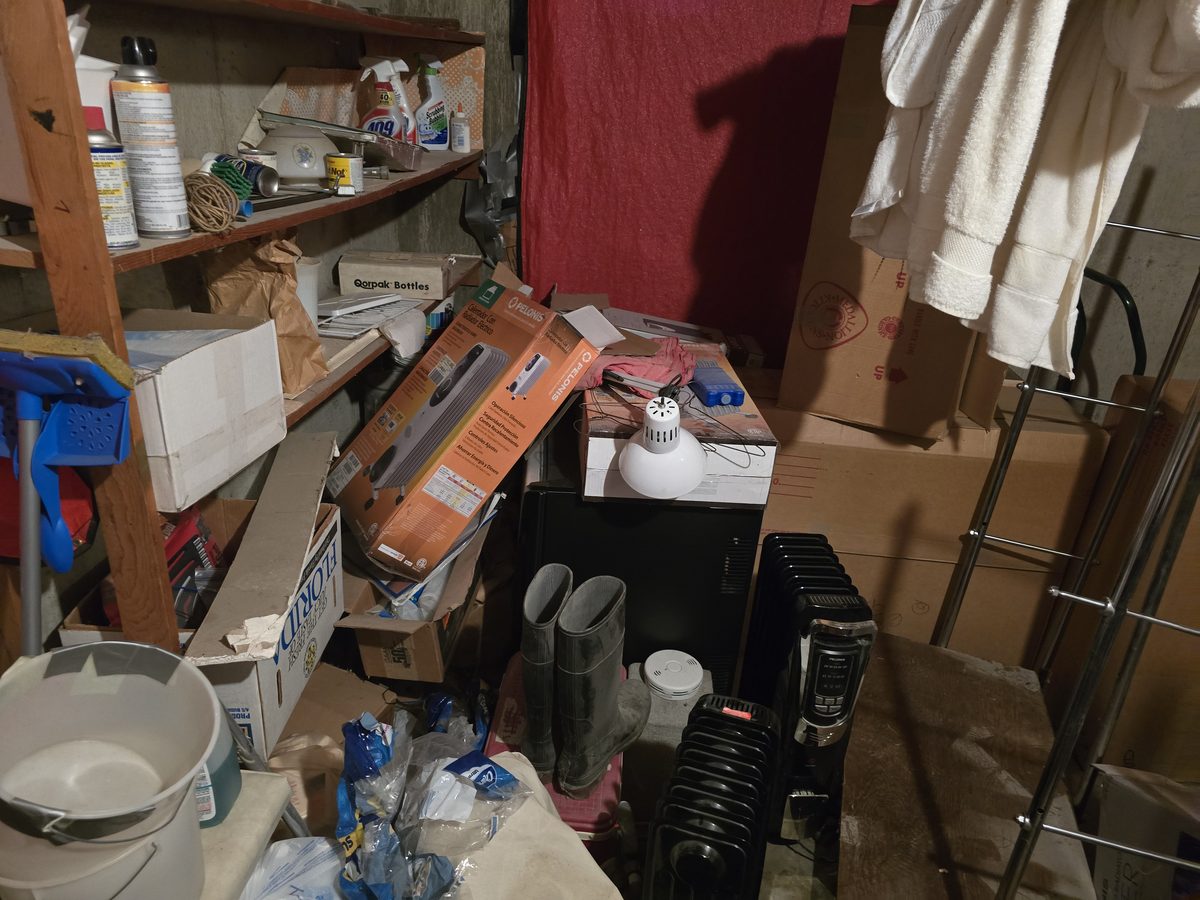 Storage room shelving packed with boxes and supplies before junk removal in Northern Colorado